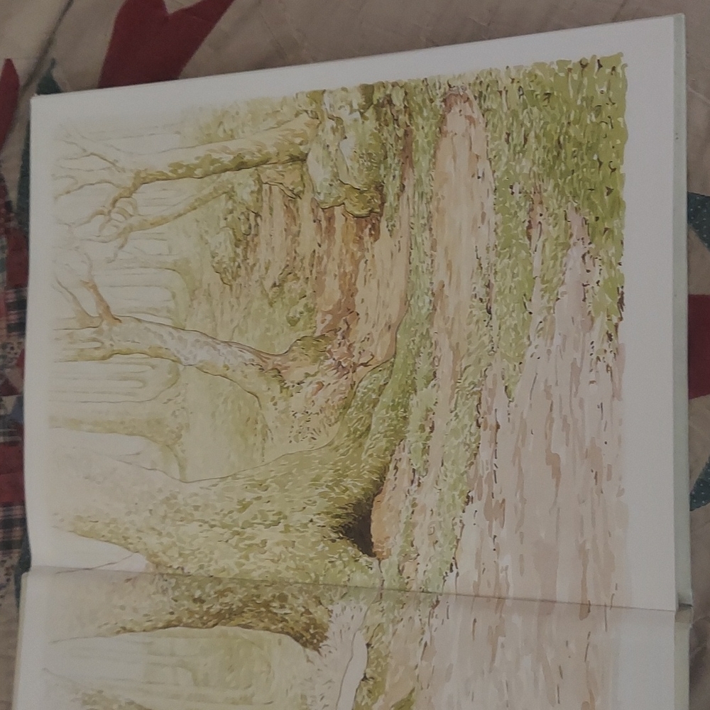 The Big Peter Rabbit Book - Picture 4 of 16